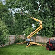 Best Tree and Shrub Care  in Kapaau, HI